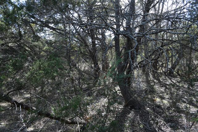 979 & 987 DEER VALLEY PASS, Spring Branch, TX 78070
