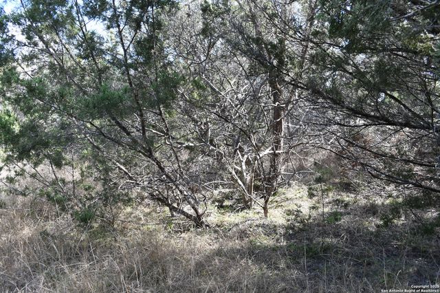 979 & 987 DEER VALLEY PASS, Spring Branch, TX 78070