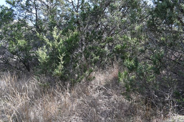 979 & 987 DEER VALLEY PASS, Spring Branch, TX 78070