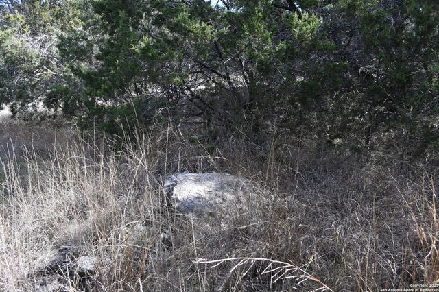 979 & 987 DEER VALLEY PASS, Spring Branch, TX 78070