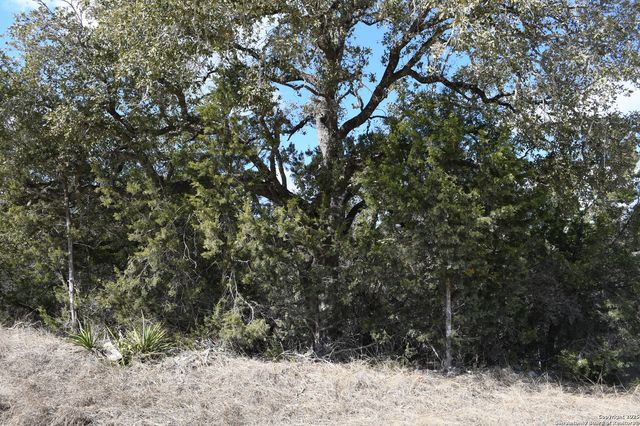 979 & 987 DEER VALLEY PASS, Spring Branch, TX 78070