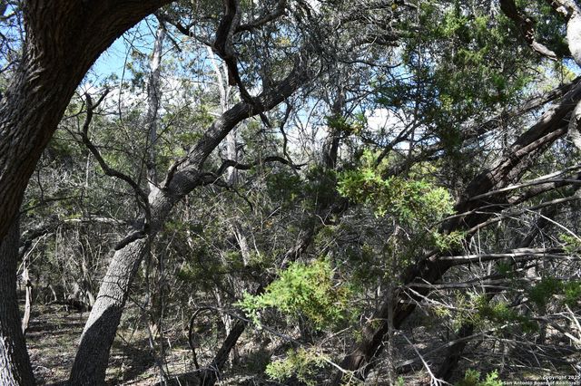 979 & 987 DEER VALLEY PASS, Spring Branch, TX 78070