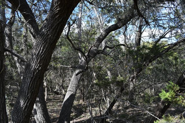 979 & 987 DEER VALLEY PASS, Spring Branch, TX 78070