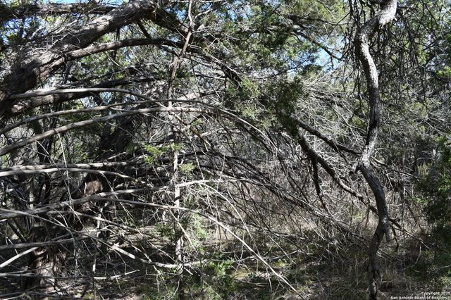 979 & 987 DEER VALLEY PASS, Spring Branch, TX 78070