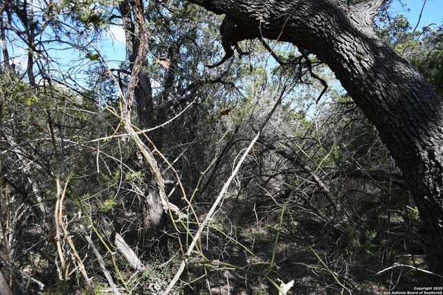979 & 987 DEER VALLEY PASS, Spring Branch, TX 78070
