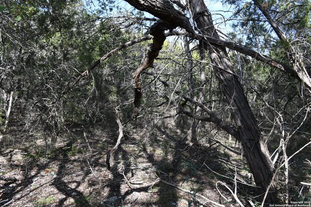 979 & 987 DEER VALLEY PASS, Spring Branch, TX 78070