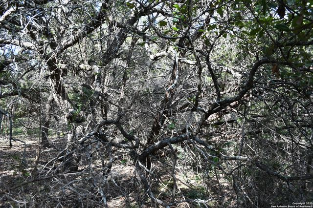 979 & 987 DEER VALLEY PASS, Spring Branch, TX 78070