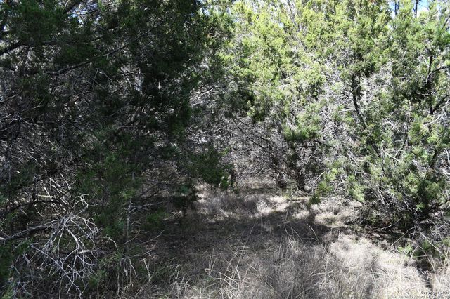 979 & 987 DEER VALLEY PASS, Spring Branch, TX 78070