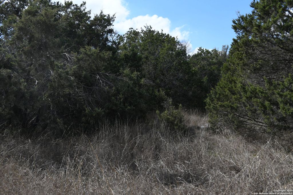 979 & 987 DEER VALLEY PASS, Spring Branch, TX 78070