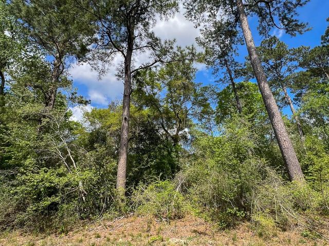 1 Fm 2665, Goodrich, TX 77335