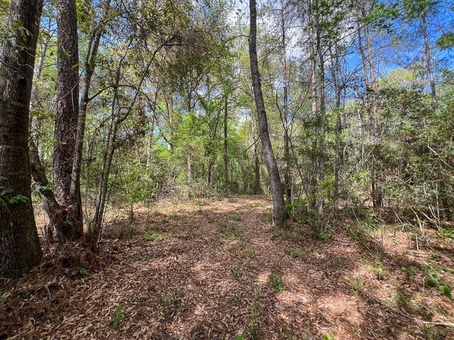 1 Fm 2665, Goodrich, TX 77335
