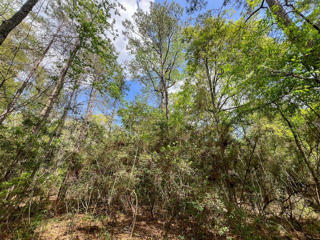 1 Fm 2665, Goodrich, TX 77335