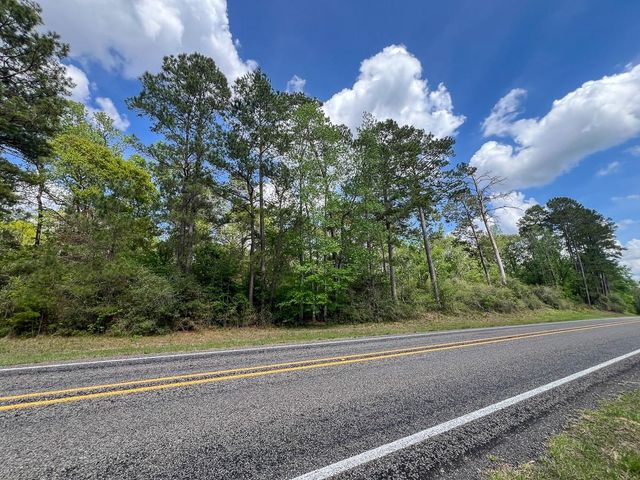 1 Fm 2665, Goodrich, TX 77335
