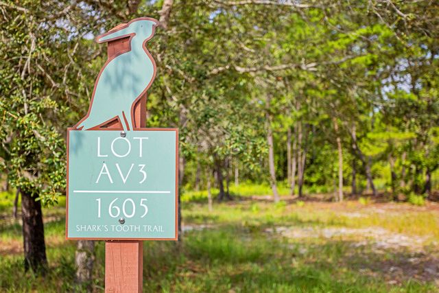 1605 Sharks Tooth Trail, Panama City Beach, FL 32413