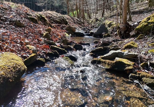 465 Faith Acres Road, Blairsville, GA 30512