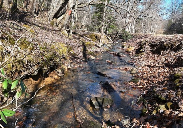 465 Faith Acres Road, Blairsville, GA 30512