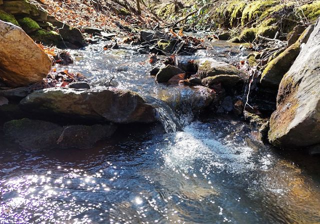 465 Faith Acres Road, Blairsville, GA 30512