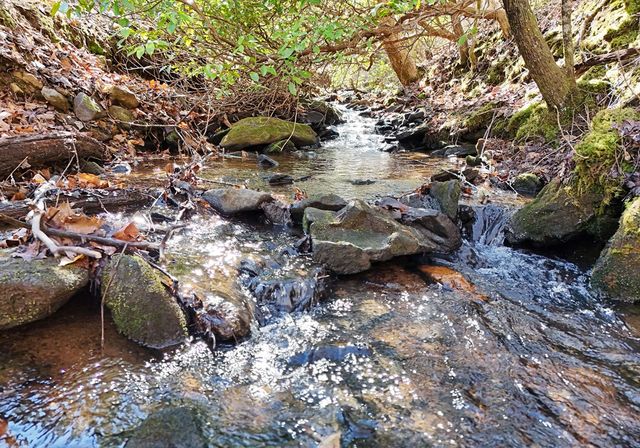 465 Faith Acres Road, Blairsville, GA 30512