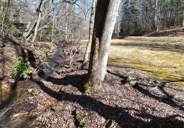 465 Faith Acres Road, Blairsville, GA 30512