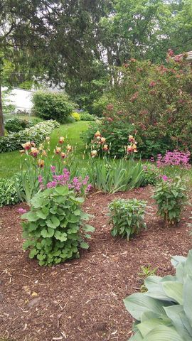 4309 Hegg Avenue, Madison, WI 53716