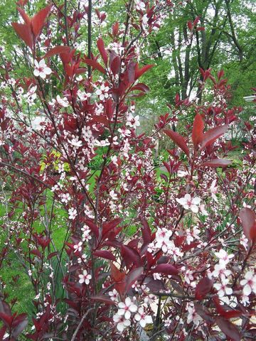 4309 Hegg Avenue, Madison, WI 53716