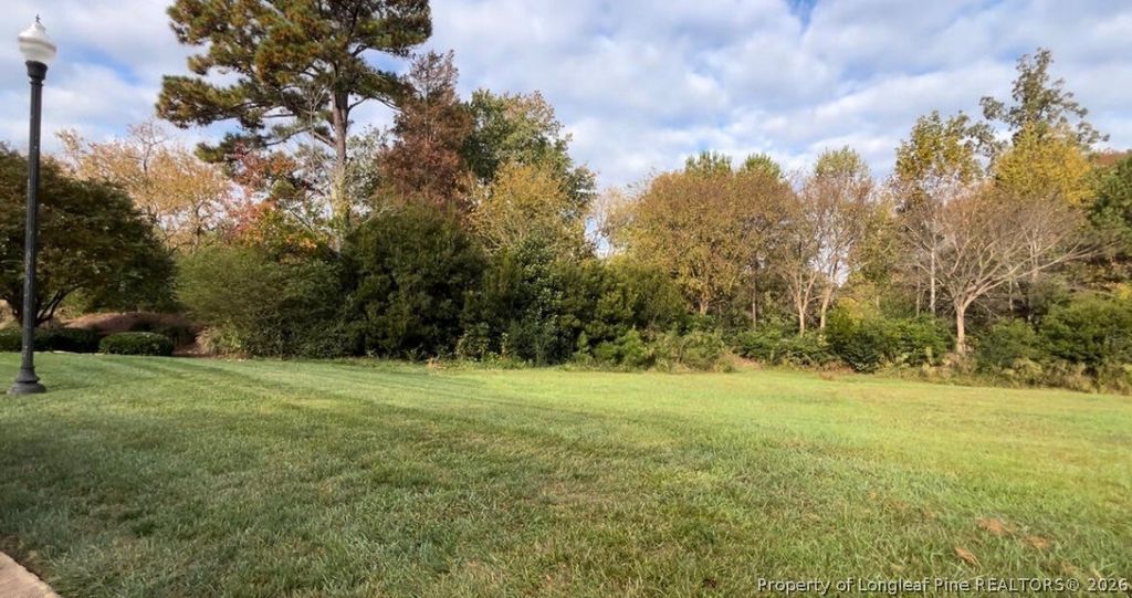 4132 Chancellors Ridge Way, Sanford, NC 27330 — photo 7