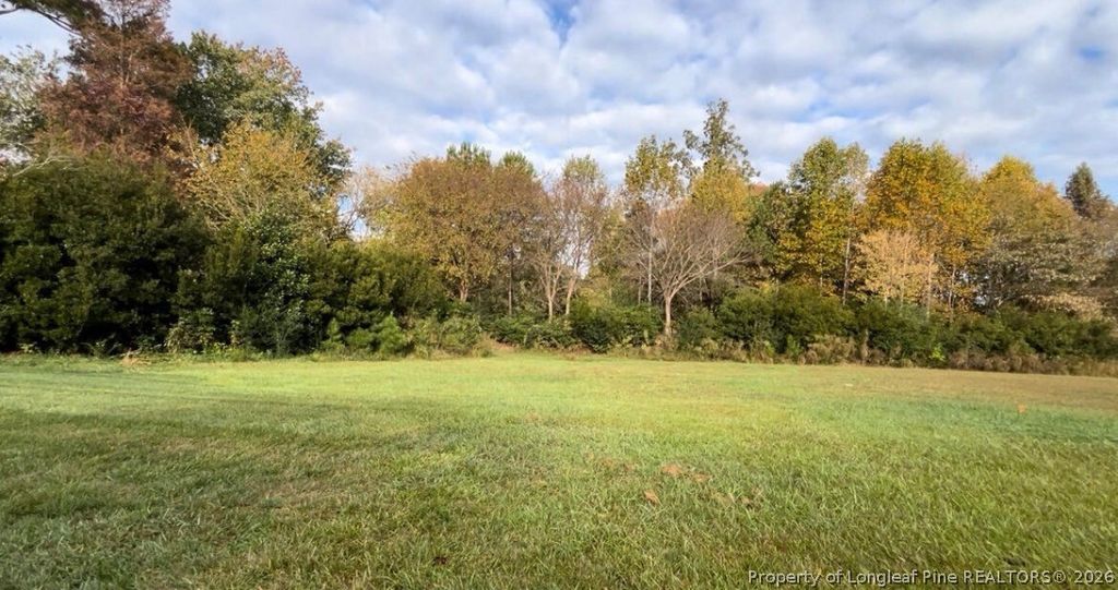 4132 Chancellors Ridge Way, Sanford, NC 27330 — photo 8
