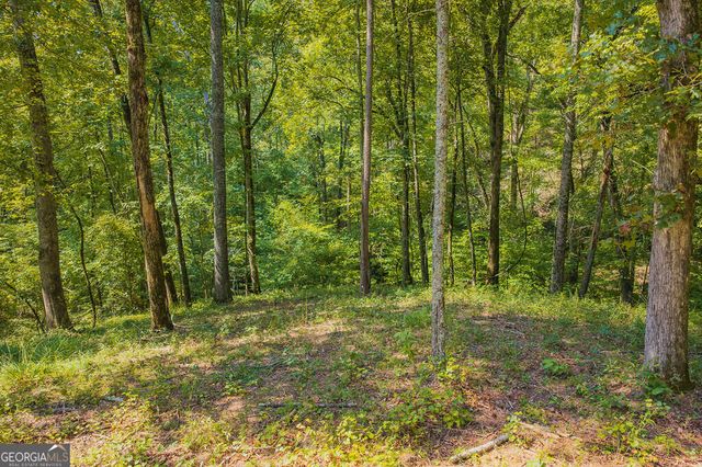 LOT 344 Lower Knoll Court, Talking Rock, GA 30175