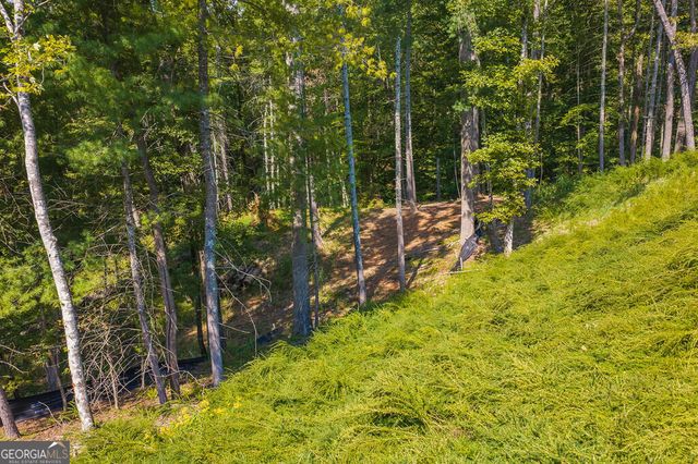 LOT 344 Lower Knoll Court, Talking Rock, GA 30175
