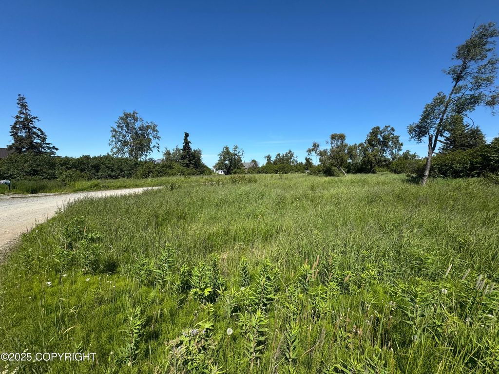 60576 Jannys Avenue, Clam Gulch, AK 99568