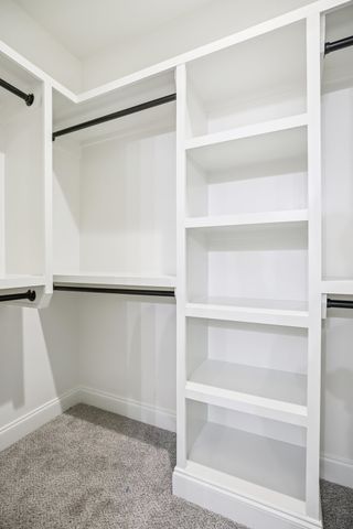 208 Karley Ln, Chapel Hill, TN 37034