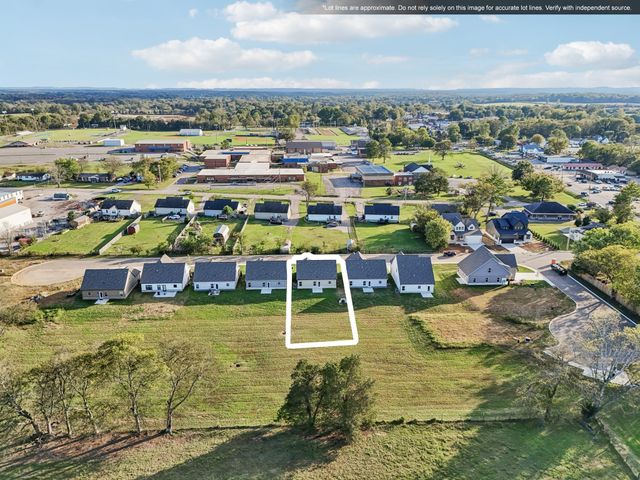 208 Karley Ln, Chapel Hill, TN 37034