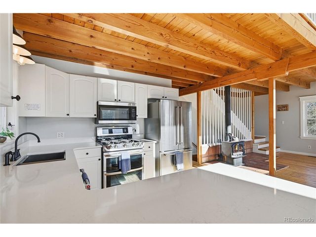 1397 S Pine Dr, Bailey, CO 80421