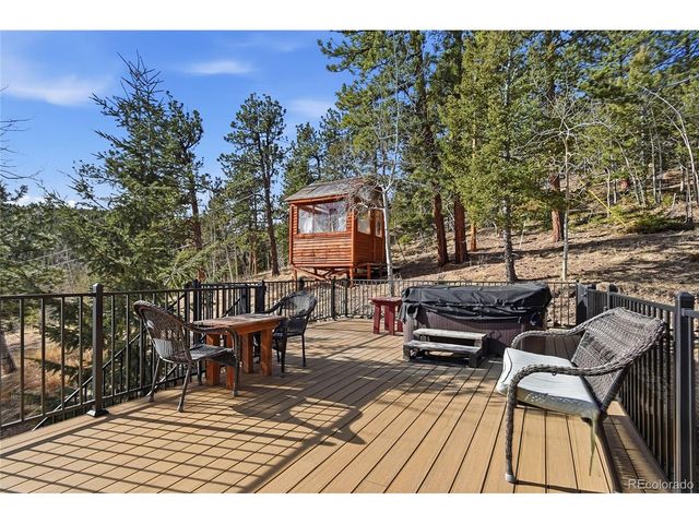 1397 S Pine Dr, Bailey, CO 80421