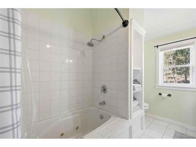 1397 S Pine Dr, Bailey, CO 80421