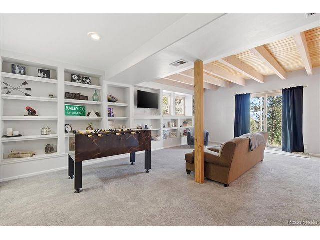 1397 S Pine Dr, Bailey, CO 80421