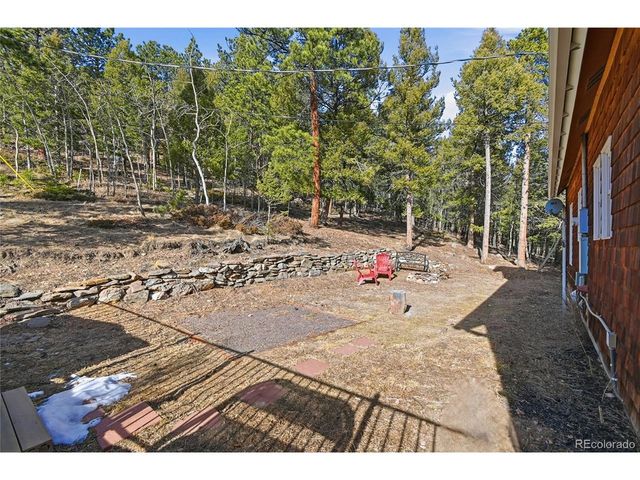 1397 S Pine Dr, Bailey, CO 80421