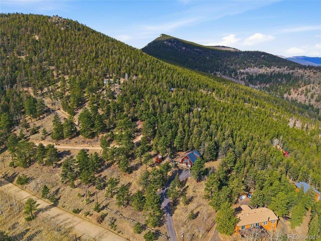 1397 S Pine Dr, Bailey, CO 80421