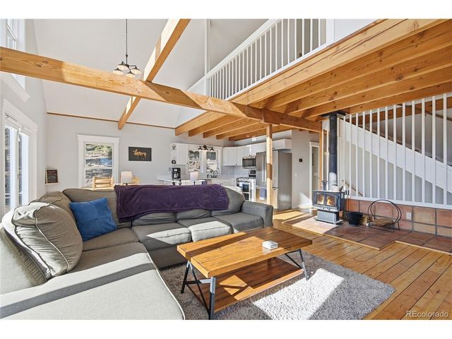 1397 S Pine Dr, Bailey, CO 80421