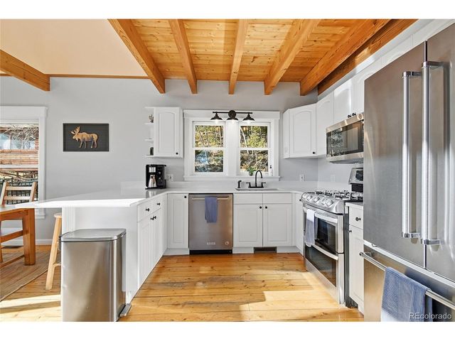 1397 S Pine Dr, Bailey, CO 80421