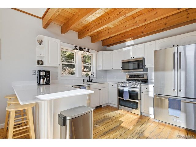 1397 S Pine Dr, Bailey, CO 80421