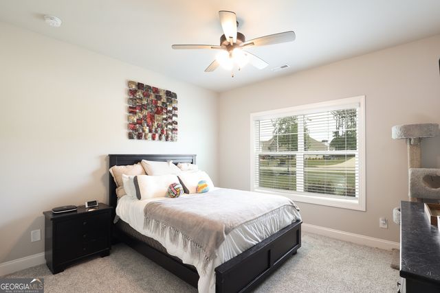 250 Cushing Street, Senoia, GA 30276