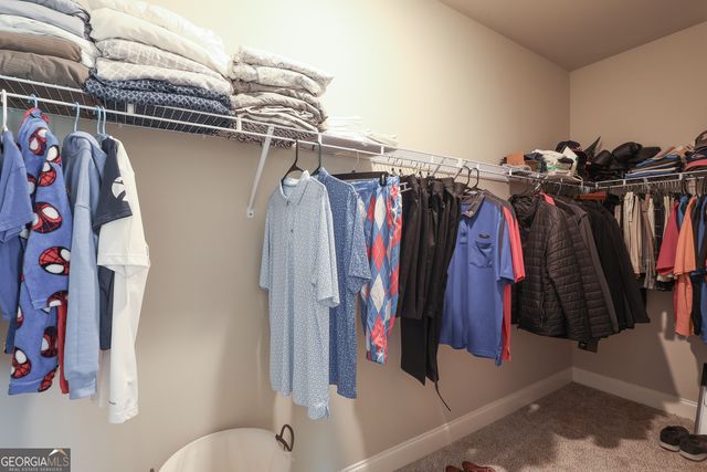 250 Cushing Street, Senoia, GA 30276