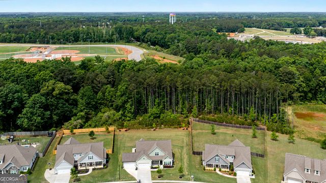 250 Cushing Street, Senoia, GA 30276