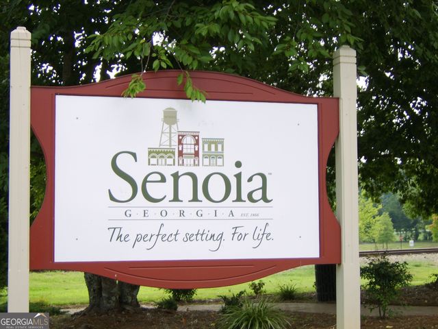 250 Cushing Street, Senoia, GA 30276