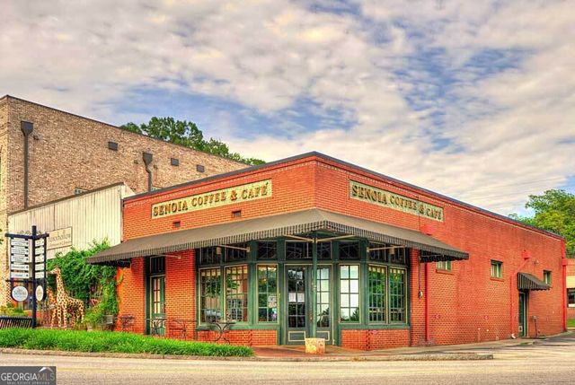 250 Cushing Street, Senoia, GA 30276