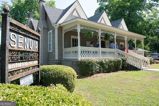 250 Cushing Street, Senoia, GA 30276