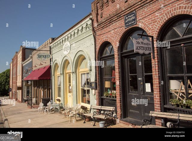 250 Cushing Street, Senoia, GA 30276