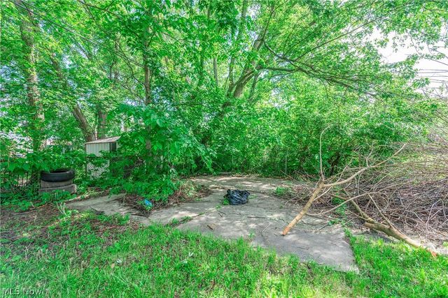 8005 Vineyard Avenue, Cleveland, OH 44105