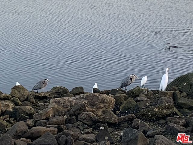 6623 Esplanade, Playa Del Rey, CA 90293